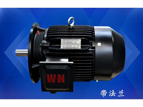 10 多(duō)級泵專(zhuan)用電機(jī)（1）