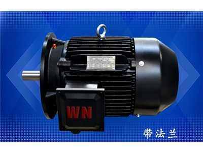 多級泵專(zhuan)用電機（1）