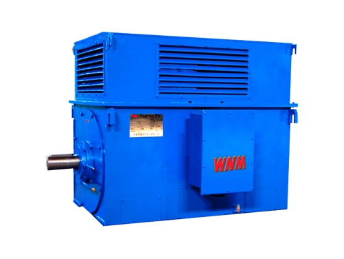 8 Y系列中型高(gao)壓高效電動(dòng)機