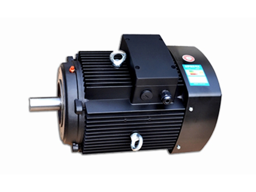 6 多(duo)級泵專(zhuan)用電機(jī)（2）