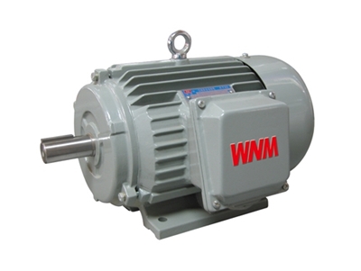 YJZ2系列(lie)機床專用(yòng)三相異步(bù)電動機