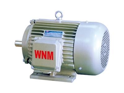 YD2系列變極(ji)多速三相(xiàng)異步電動(dòng)機