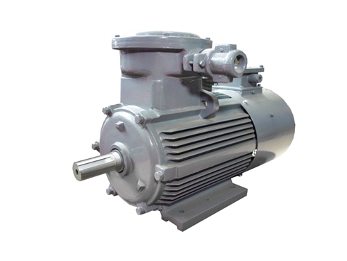 4 YBBP系列隔爆(bào)型變頻調速三相(xiàng)異步電動機