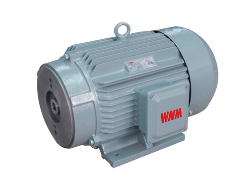 1 YYB系列油(you)泵專用三相(xiàng)異步電動機(ji)