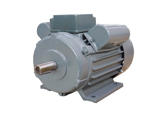 2 YL系列雙(shuāng)值電容(rong)異步電(diàn)動機