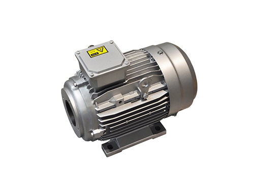 1 YYVF2系列(lie)新能源汽車助力(lì)轉向泵電機